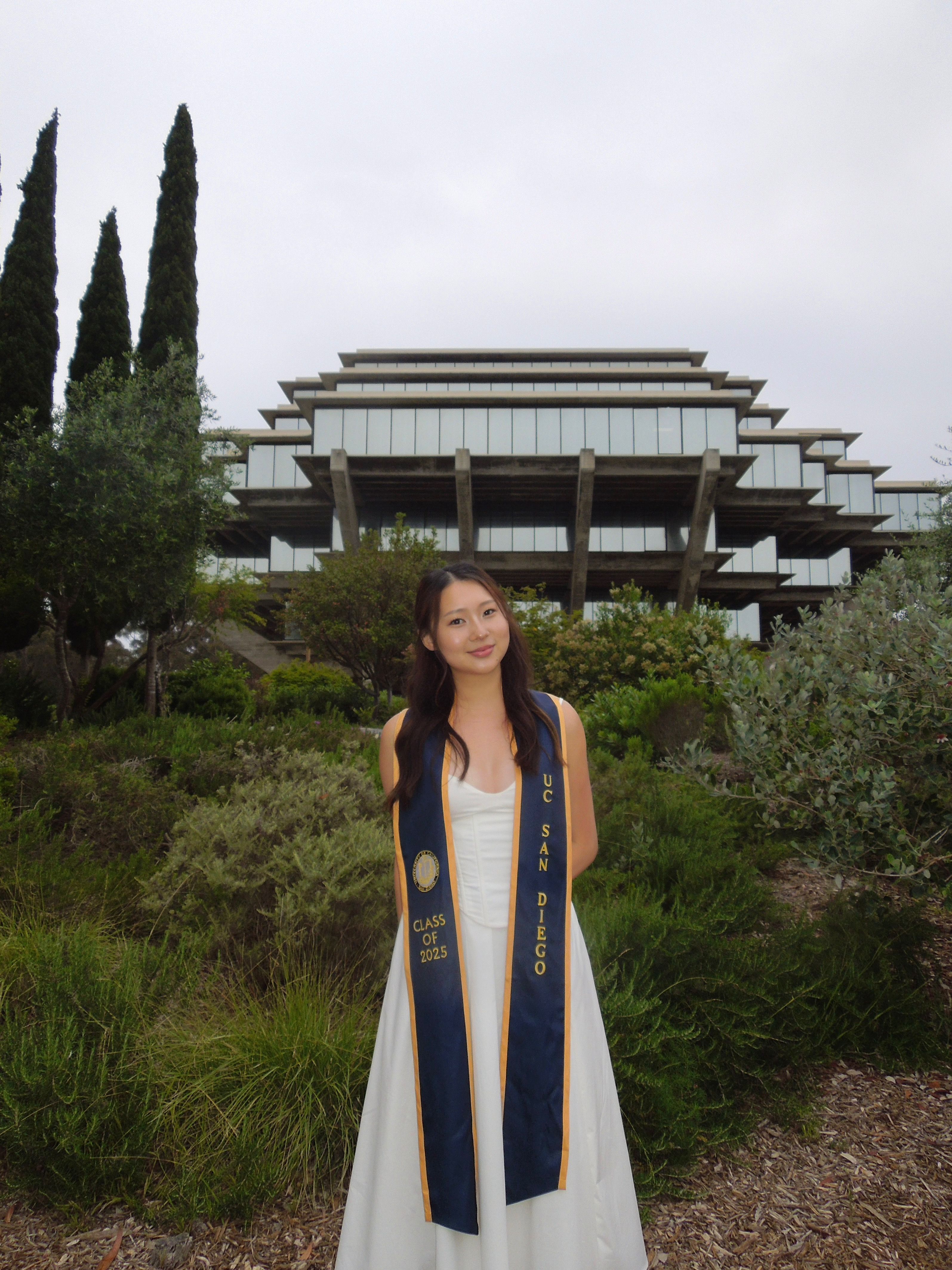 Holly in a lavender field